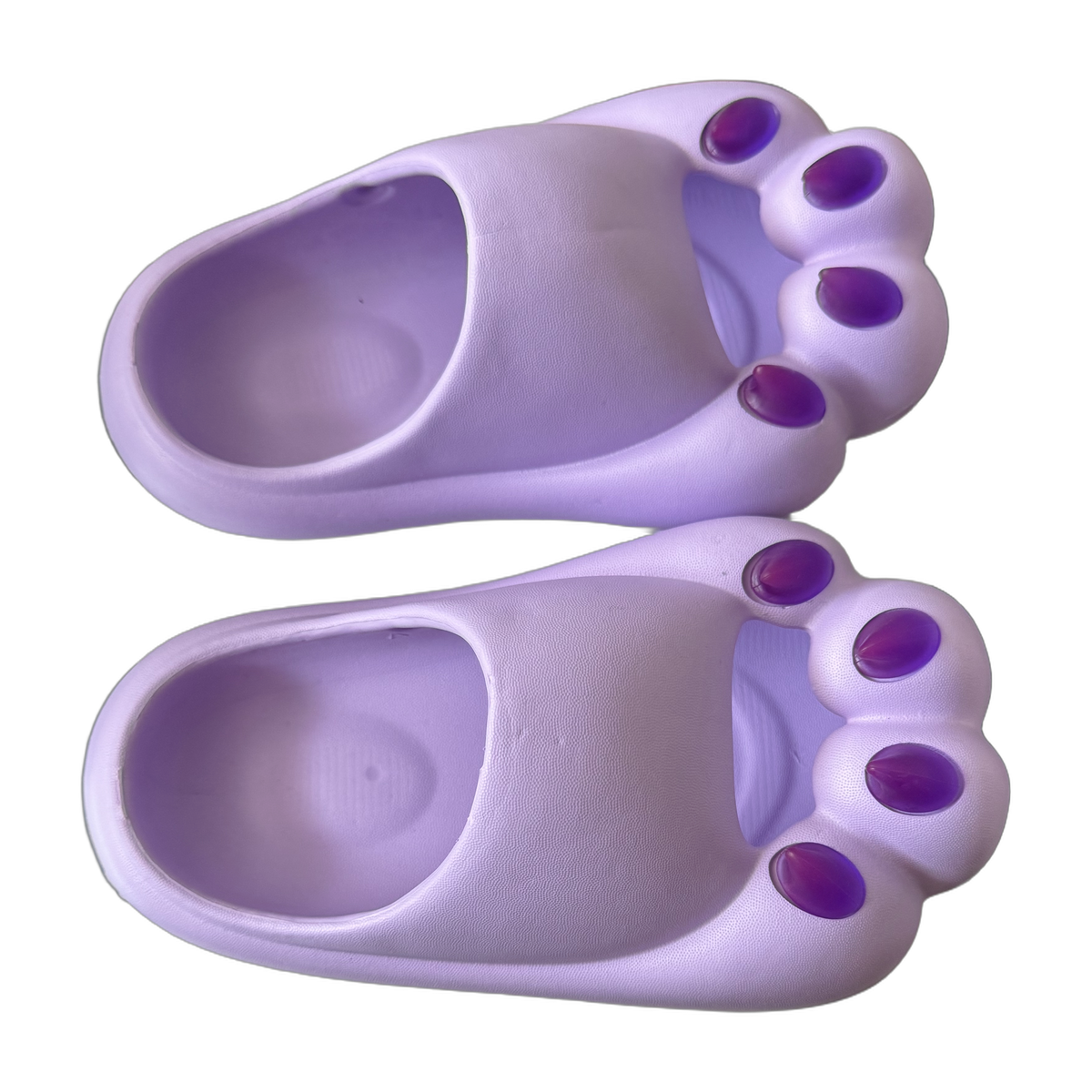 Paw Slide Lavender
